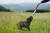 IMG_0188.jpeg