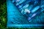 IMG_7383.jpeg