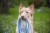 _DSC0980.jpeg