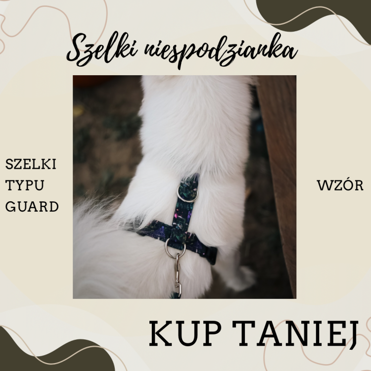 Szelki niespodzianka.png